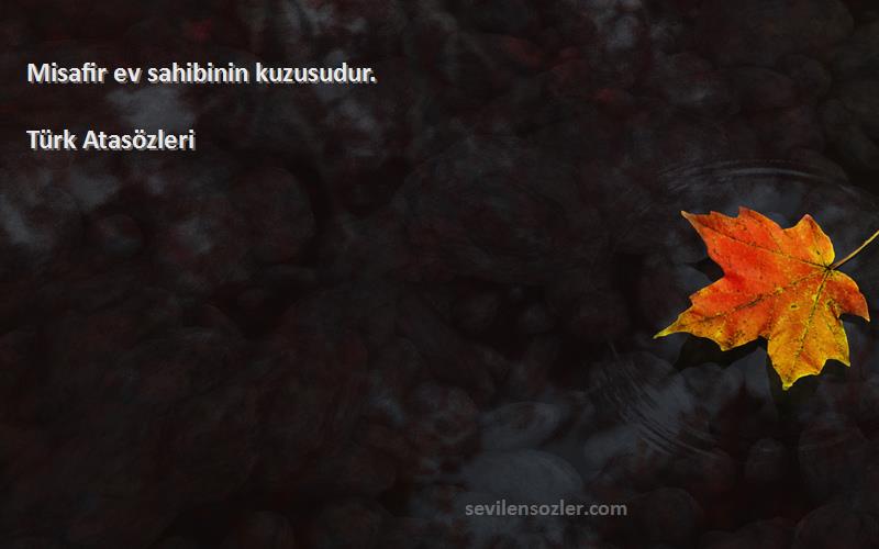 Türk Atasözleri - Misafir ev sahibinin kuzusudur.