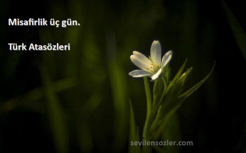 Türk Atasözleri - Misafirlik üç gün.