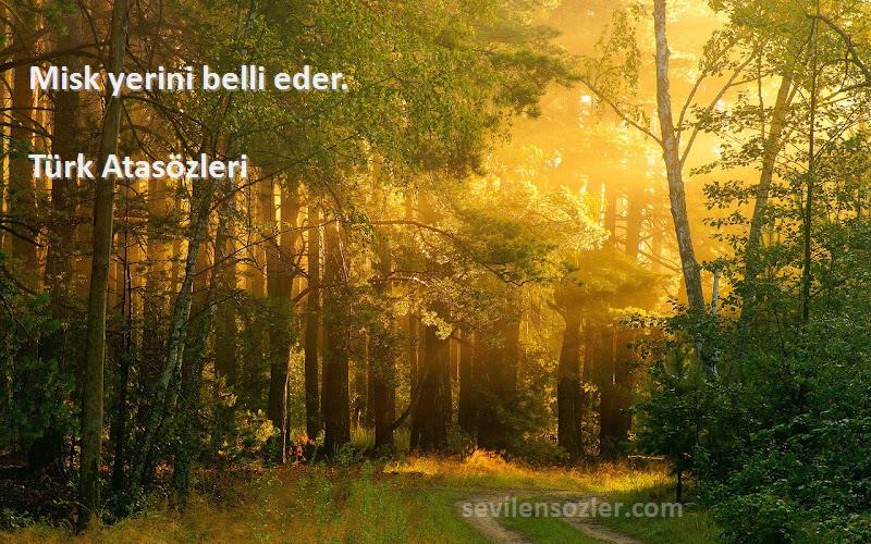 Türk Atasözleri - Misk yerini belli eder.