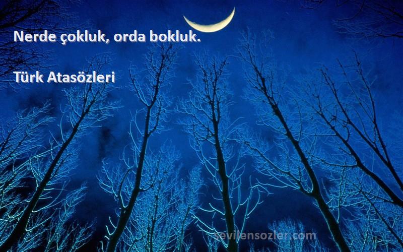 Türk Atasözleri - Nerde çokluk, orda bokluk.