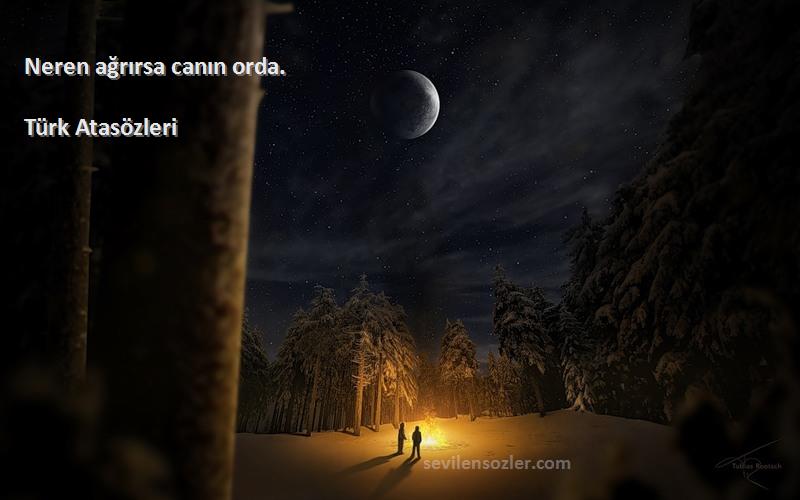 Türk Atasözleri - Neren ağrırsa canın orda.