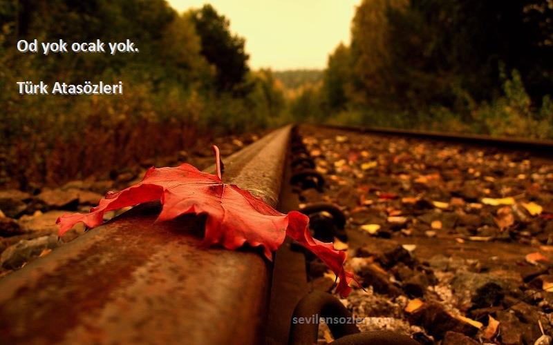 Türk Atasözleri - Od yok ocak yok.
