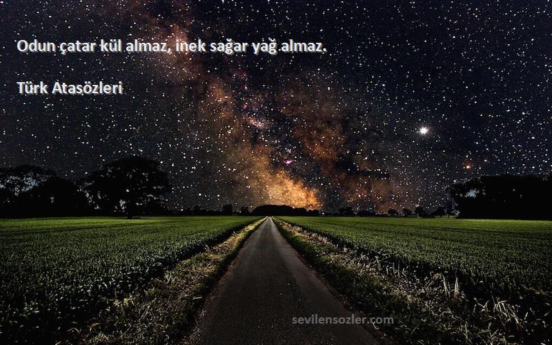 Türk Atasözleri Sözleri 
Odun çatar kül almaz, inek sağar yağ almaz.