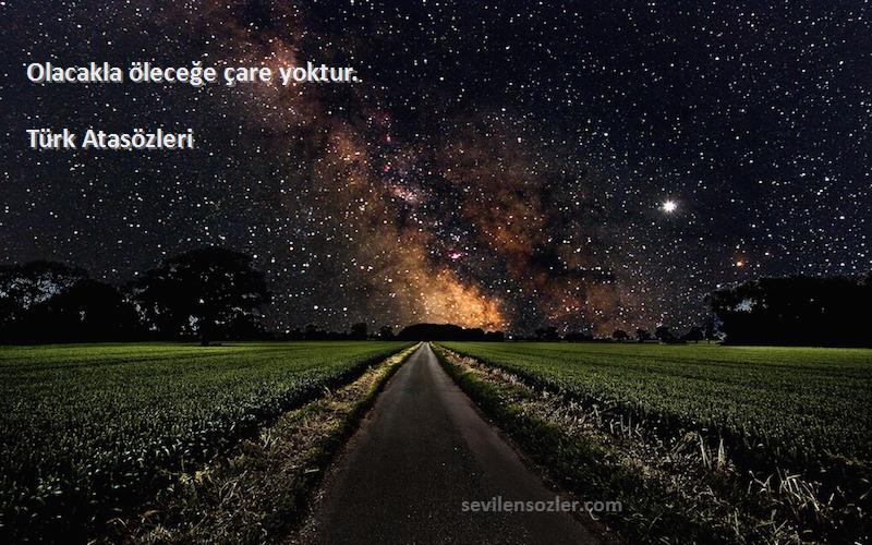Türk Atasözleri - Olacakla öleceğe çare yoktur.