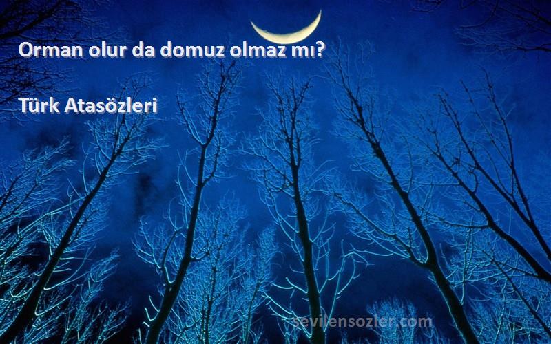 Türk Atasözleri - Orman olur da domuz olmaz mı?