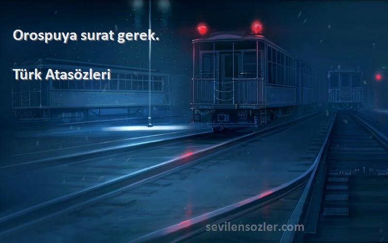 Türk Atasözleri - Orospuya surat gerek.