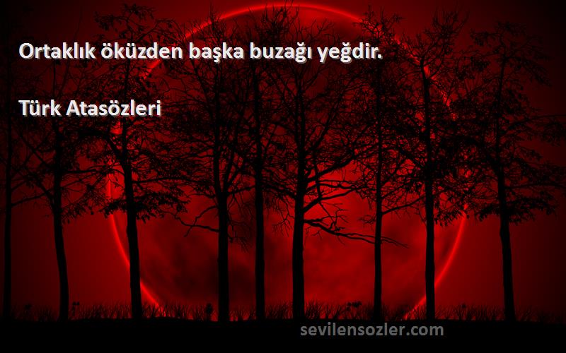 Türk Atasözleri - Ortaklık öküzden başka buzağı yeğdir.