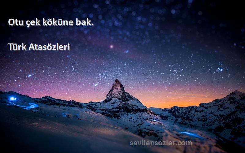 Türk Atasözleri - Otu çek köküne bak.