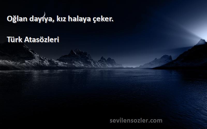 Türk Atasözleri Sözleri 
Oğlan dayıya, kız halaya çeker.