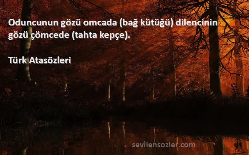 Türk Atasözleri Sözleri 
Oduncunun gözü omcada (bağ kütüğü) dilencinin gözü çömcede (tahta kepçe).