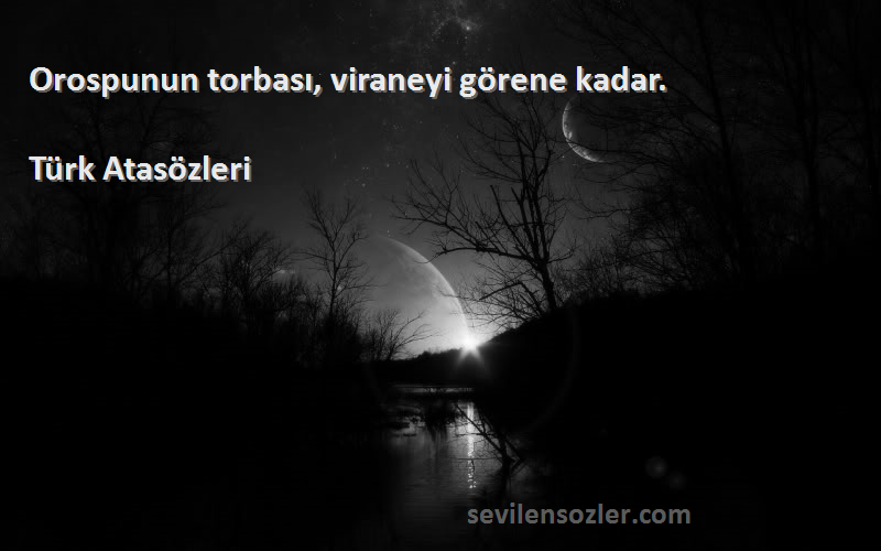 Türk Atasözleri - Orospunun torbası, viraneyi görene kadar.