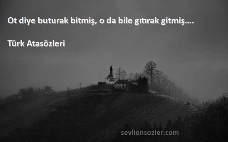 Türk Atasözleri - Ot diye buturak bitmiş, o da bile gıtırak gitmiş….