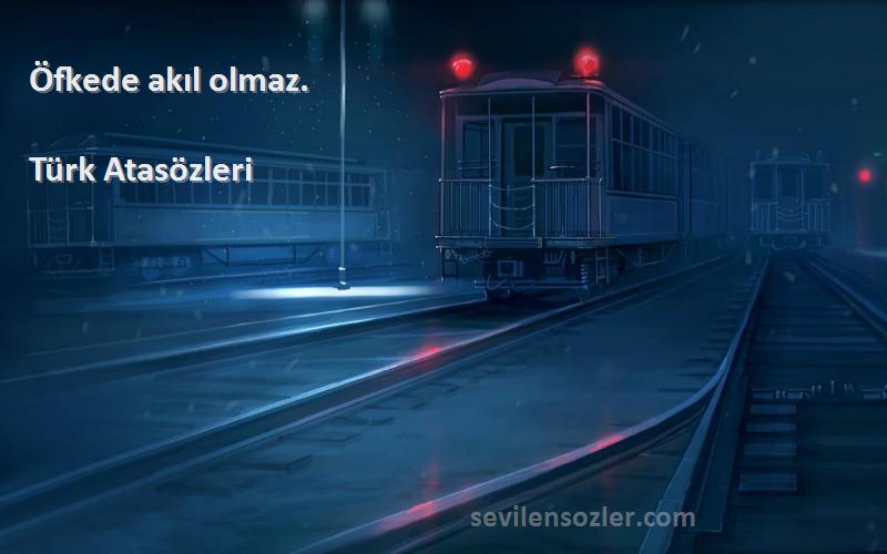 Türk Atasözleri - Öfkede akıl olmaz.