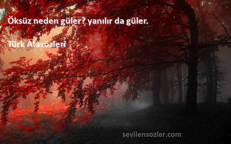 Türk Atasözleri - Öksüz neden güler? yanılır da güler.