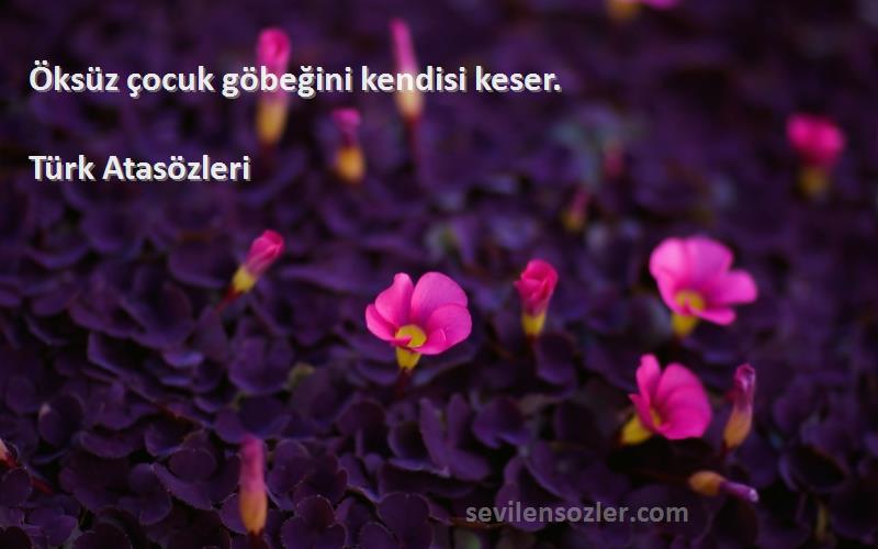 Türk Atasözleri - Öksüz çocuk göbeğini kendisi keser.