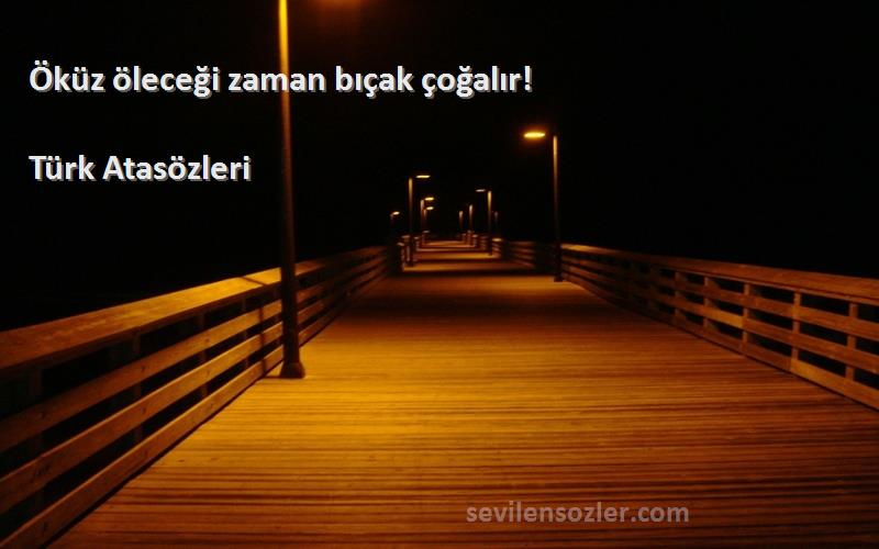 Türk Atasözleri - Öküz öleceği zaman bıçak çoğalır!