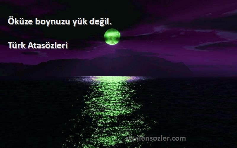 Türk Atasözleri - Öküze boynuzu yük değil.