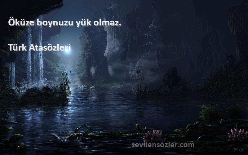 Türk Atasözleri - Öküze boynuzu yük olmaz.