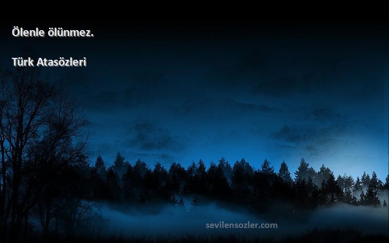 Türk Atasözleri - Ölenle ölünmez.