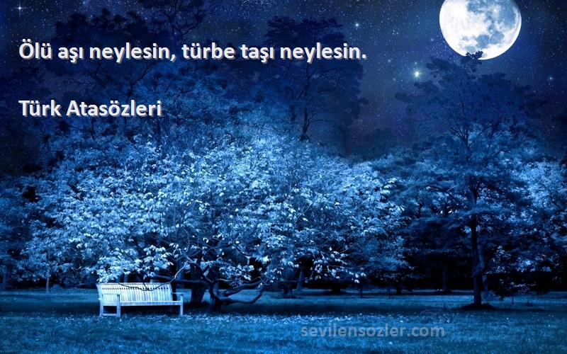 Türk Atasözleri - Ölü aşı neylesin, türbe taşı neylesin.