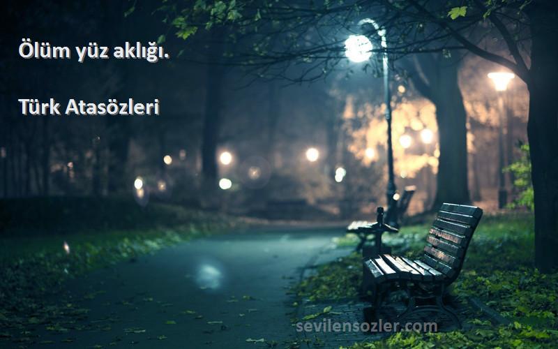 Türk Atasözleri - Ölüm yüz aklığı.