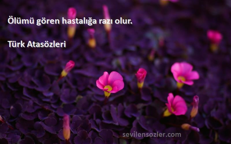 Türk Atasözleri - Ölümü gören hastalığa razı olur.