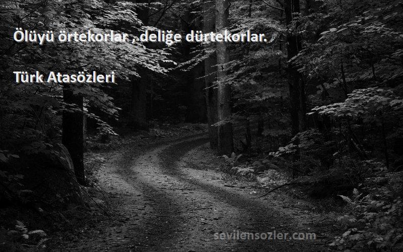 Türk Atasözleri - Ölüyü örtekorlar , deliğe dürtekorlar.